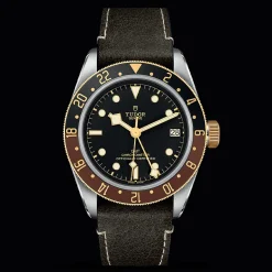 Black Bay GMT S&G