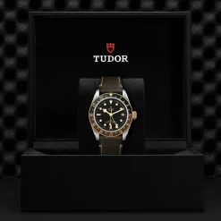Black Bay GMT S&G