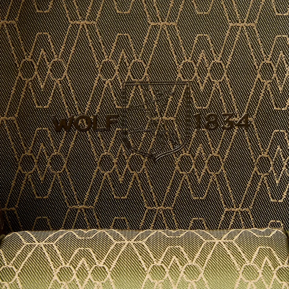 Earth Triple Watch Roll