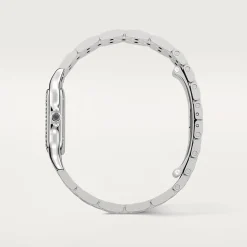 Panthère de Cartier