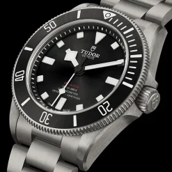 Pelagos 39