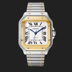 Santos de Cartier Medium