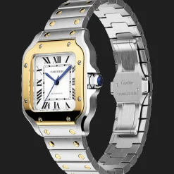 Santos de Cartier Medium