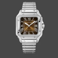 Santos de Cartier Medium
