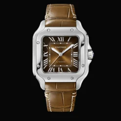 Santos de Cartier Medium