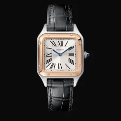 Santos-Dumont Small