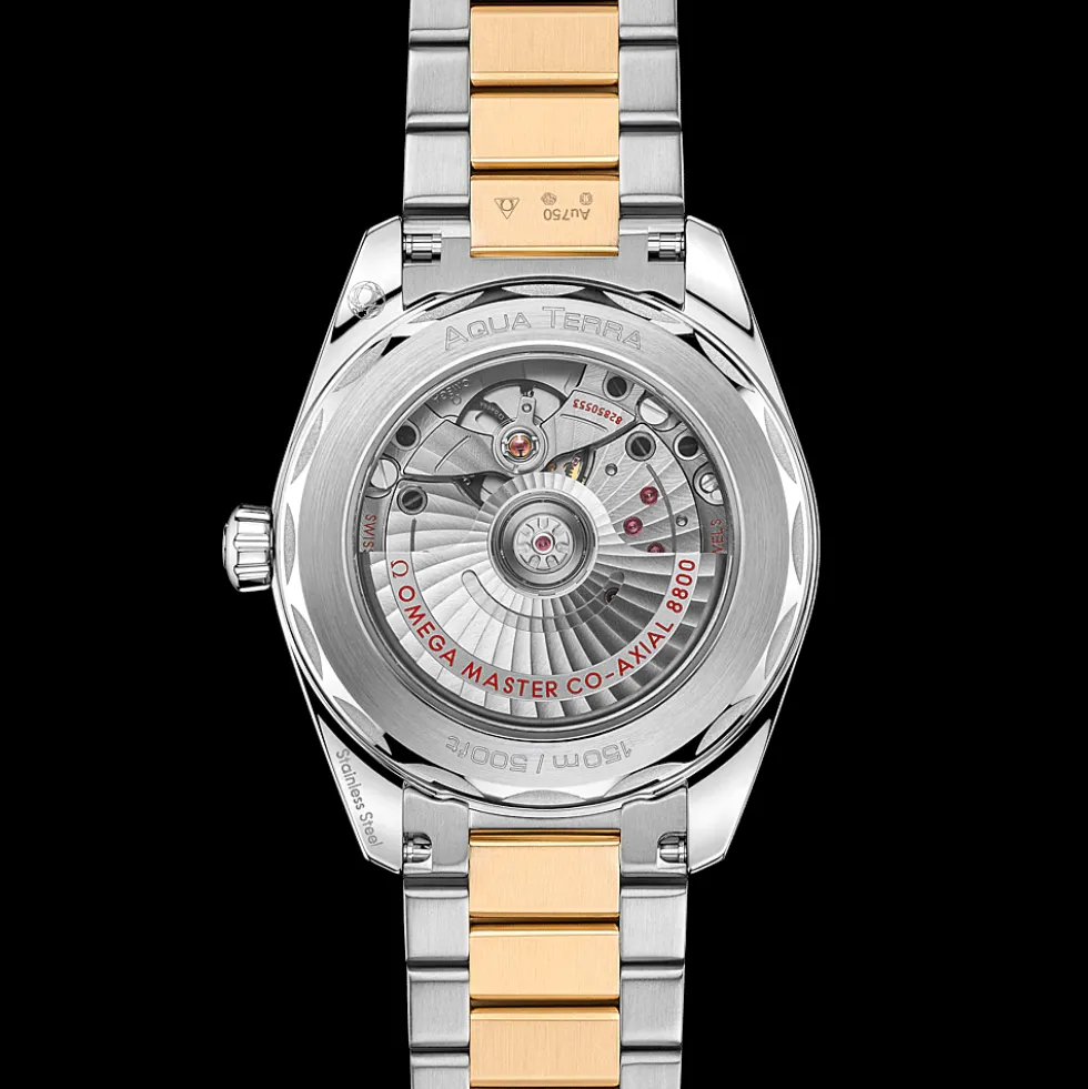 Seamaster Aqua Terra 150M 38mm
