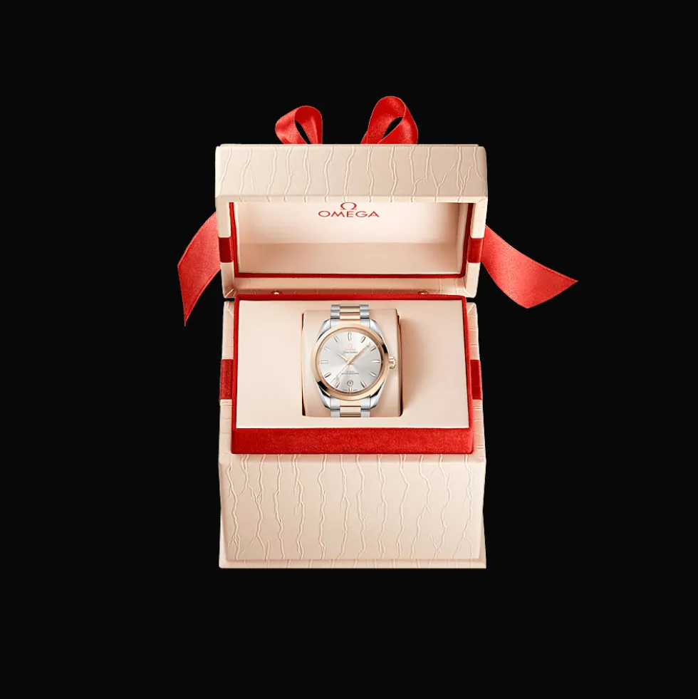 Seamaster Aqua Terra 150M 38mm