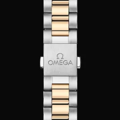 Seamaster Aqua Terra Shades 34mm