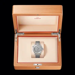 Seamaster Diver 300M
