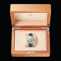Seamaster Diver 300M