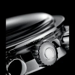 Speedmaster Moonwatch Professional