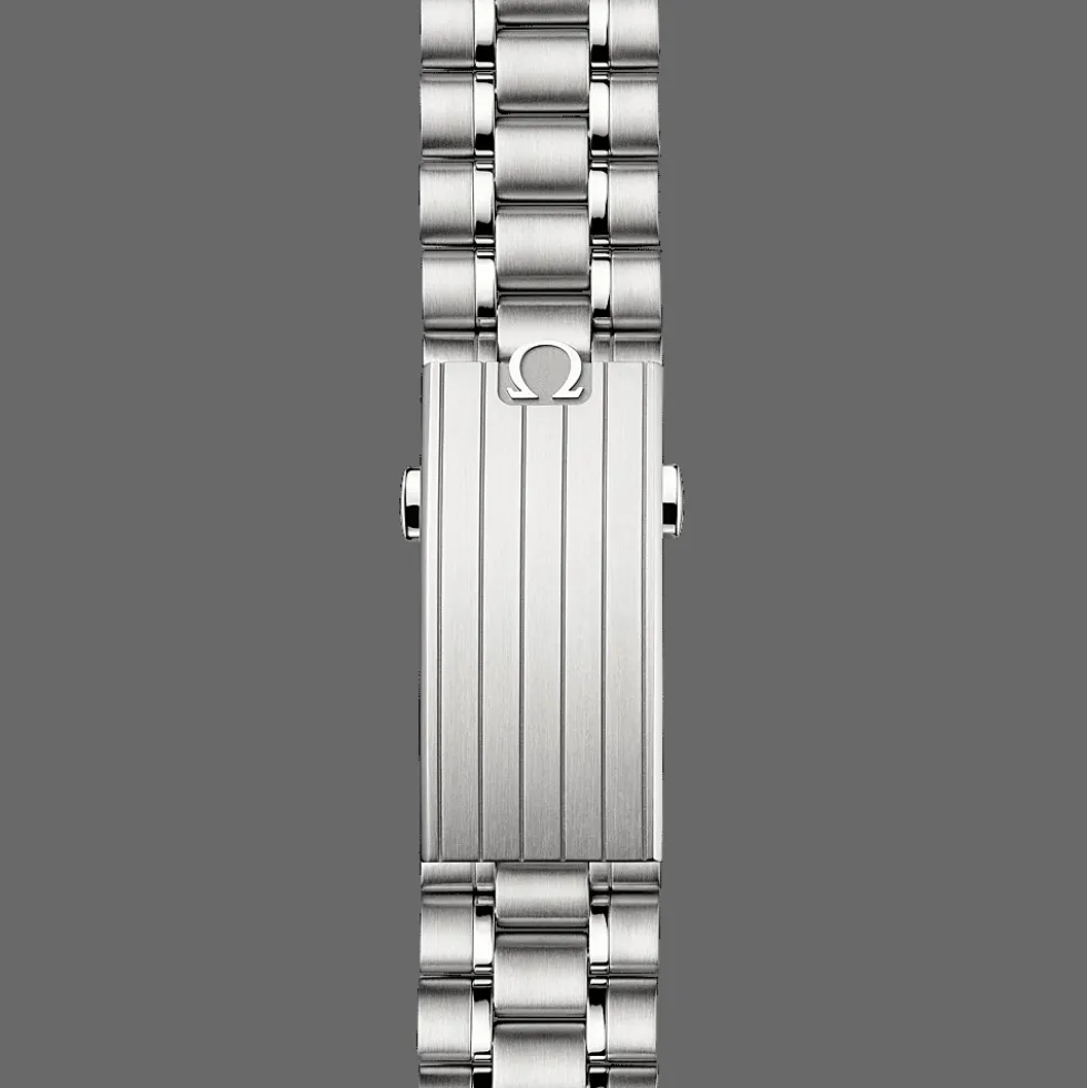 Speedmaster Moonwatch Professional